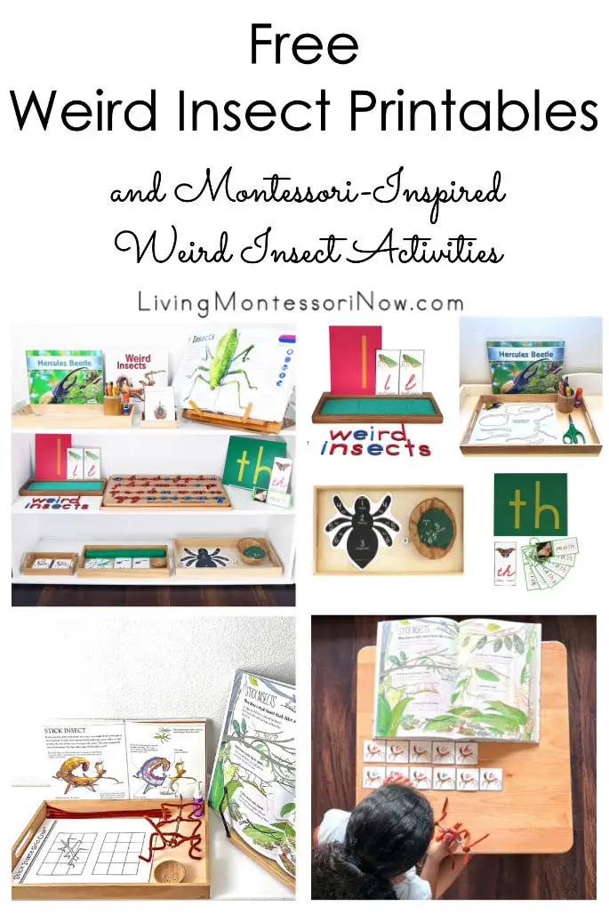 Imprimables gratuits d'insectes étranges et activités d'insectes étranges inspirées de Montessori