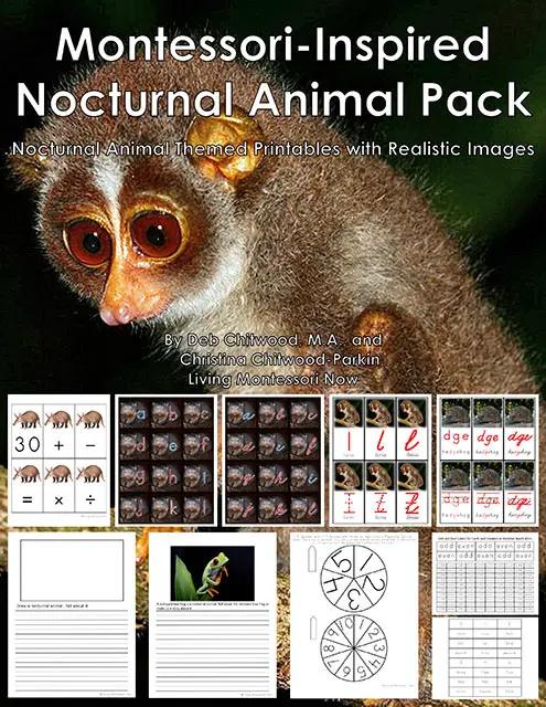 Pack d'animaux nocturnes d'inspiration Montessori