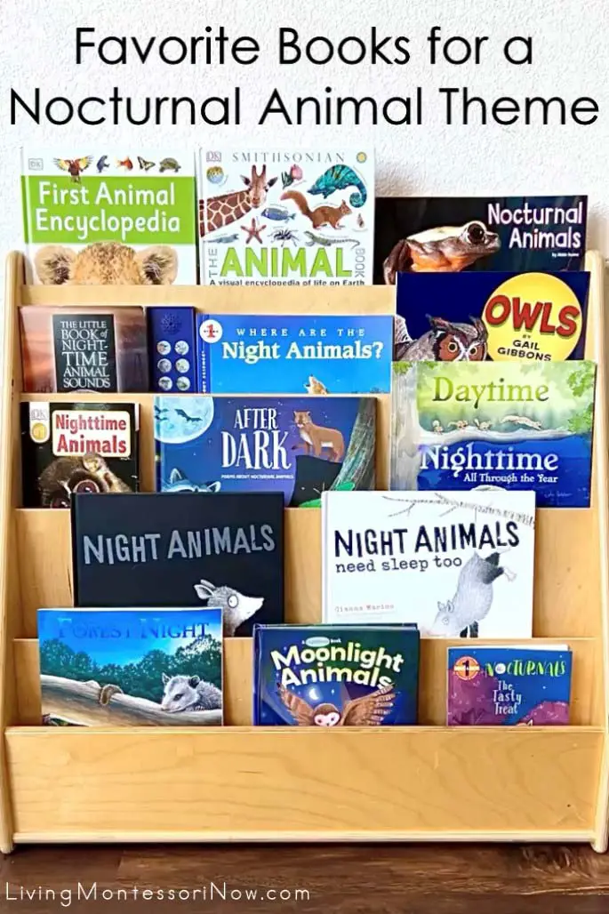 Livres préférés pour un thème d'animaux nocturnes