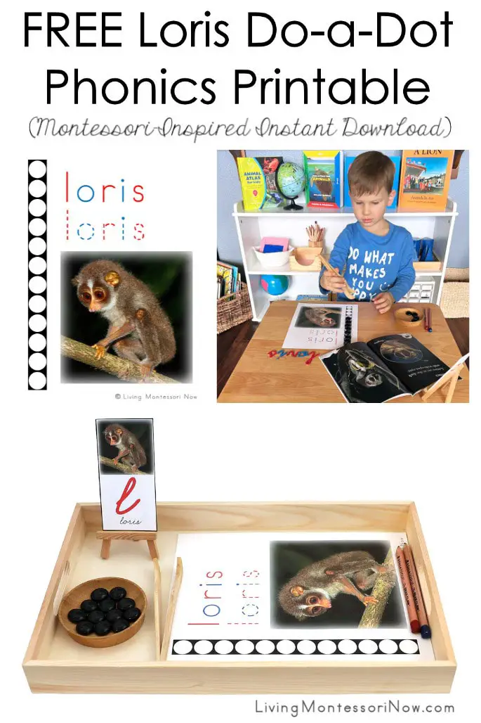 Free Loris Do-a-Dot Phonics Printable (Téléchargement instantané inspiré de Montessori)