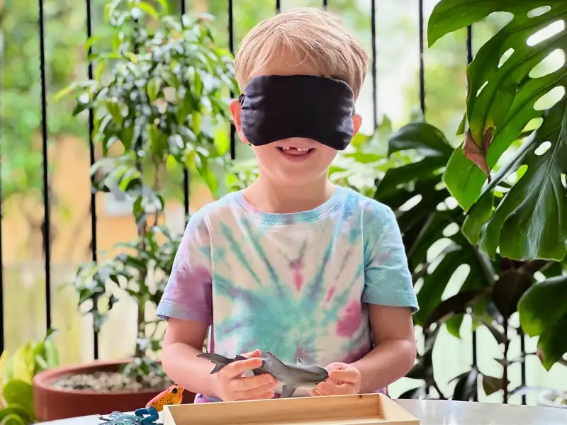 Comment nous Montessori home activité avec les yeux bandés