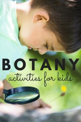 Botanique pour les enfants - 12+ activités géniales 