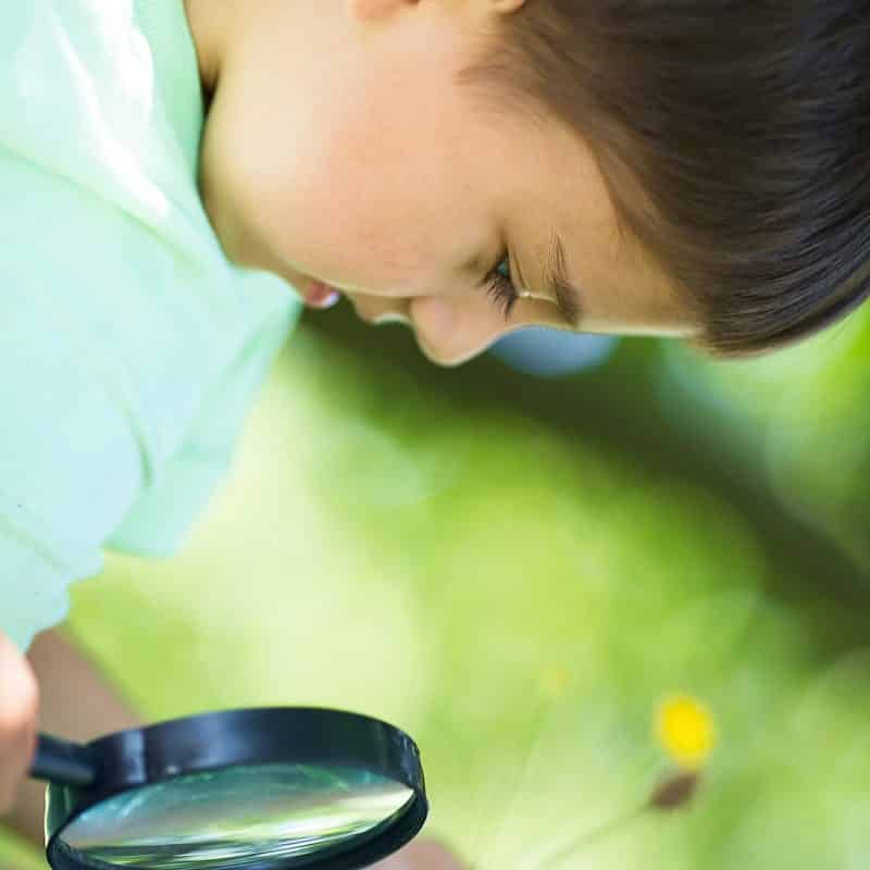 Botanique pour les enfants - 12+ activités géniales