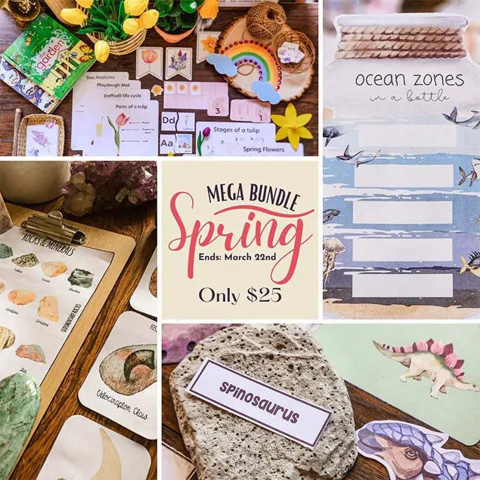 Spring Mega Bundle 97 % de réduction - Seulement 25 $ jusqu'au 22 mars !