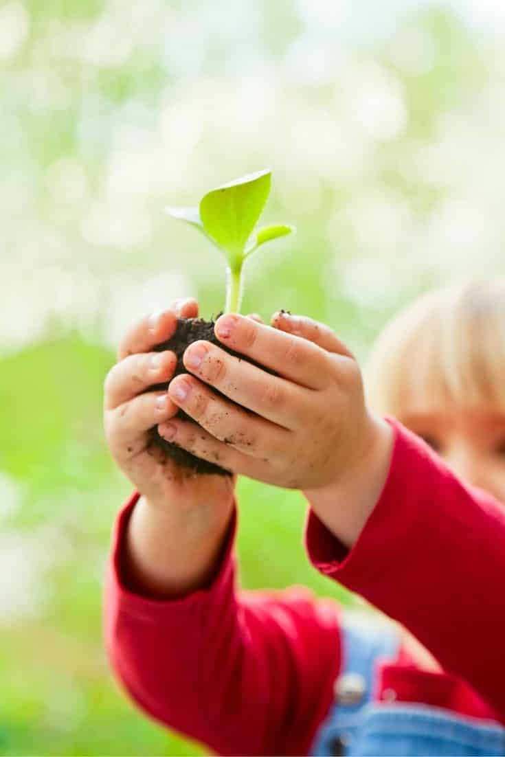 Botanique pour les enfants - 12+ activités géniales 