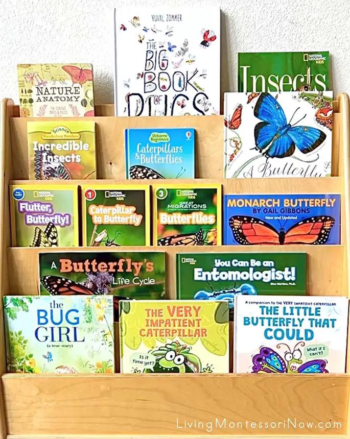 Livres sur le thème des papillons Livres sur le thème des papillons