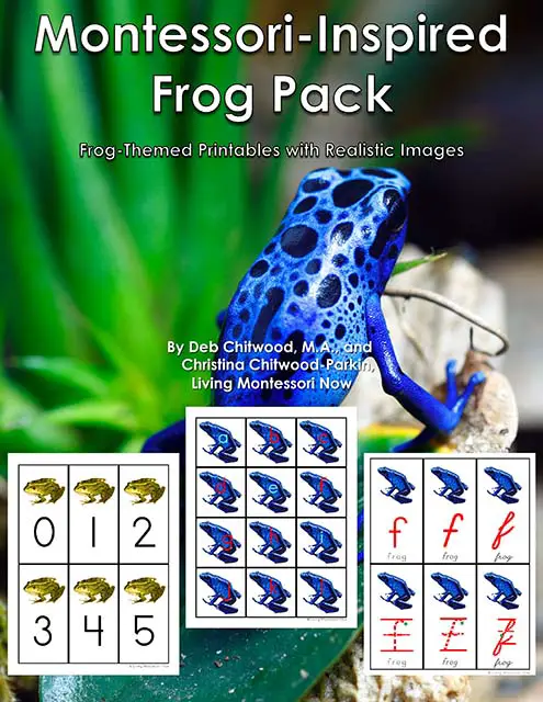 Pack grenouille d'inspiration Montessori