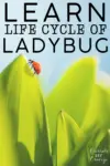 Le cycle de vie fascinant d'une coccinelle : un guide complet